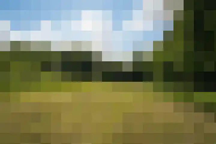 Krommesteeg 2 Odijk foto 2