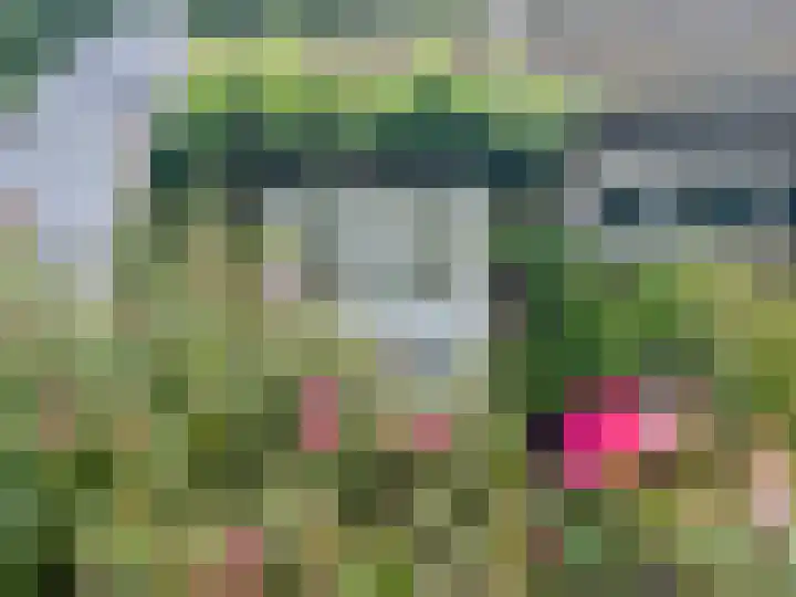 Krommesteeg 2 Odijk thumbnail 20