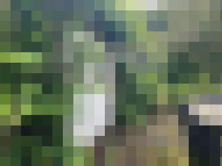 Krommesteeg 2 Odijk thumbnail 21