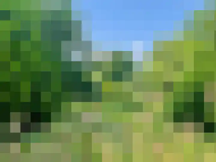 Krommesteeg 2 Odijk thumbnail 22