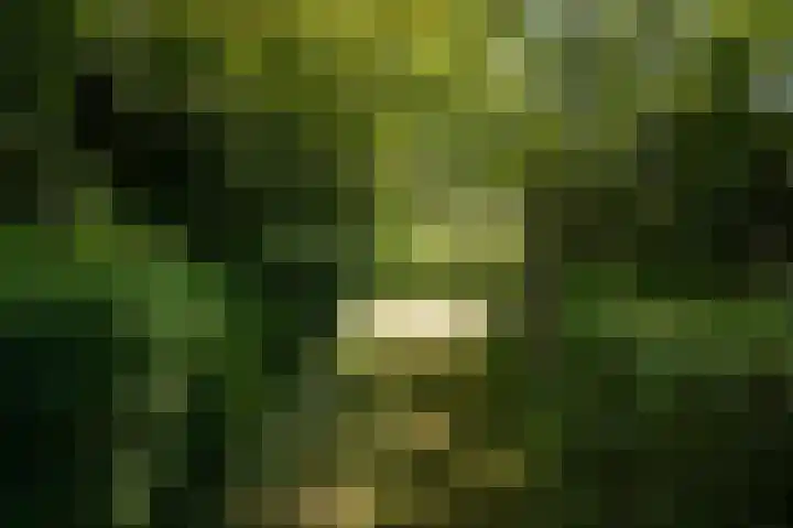 Krommesteeg 2 Odijk thumbnail 23