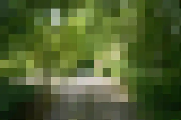 Krommesteeg 2 Odijk thumbnail 24
