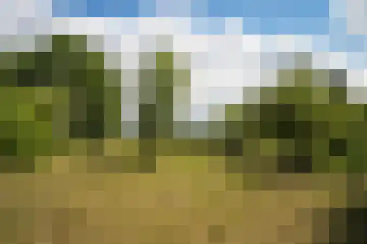 Krommesteeg 2 Odijk thumbnail 25