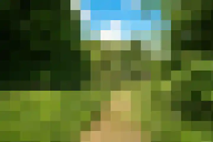 Krommesteeg 2 Odijk thumbnail 26