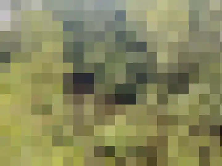 Krommesteeg 2 Odijk thumbnail 27