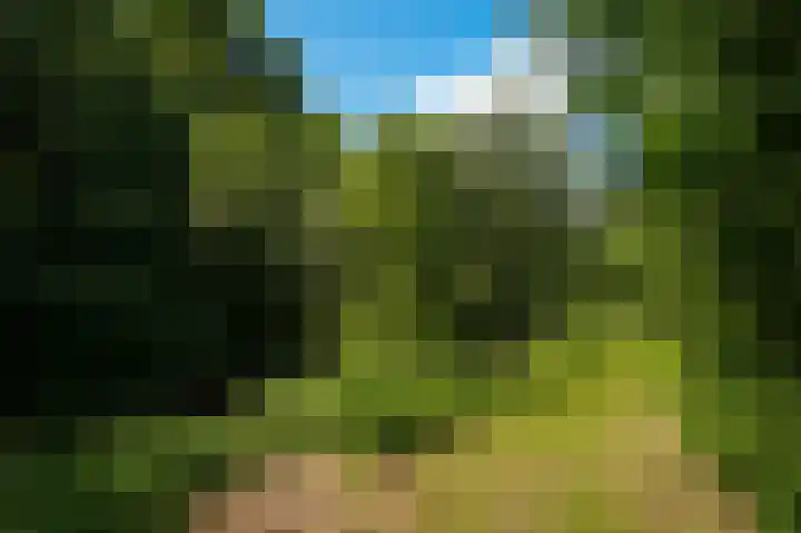 Krommesteeg 2 Odijk thumbnail 28