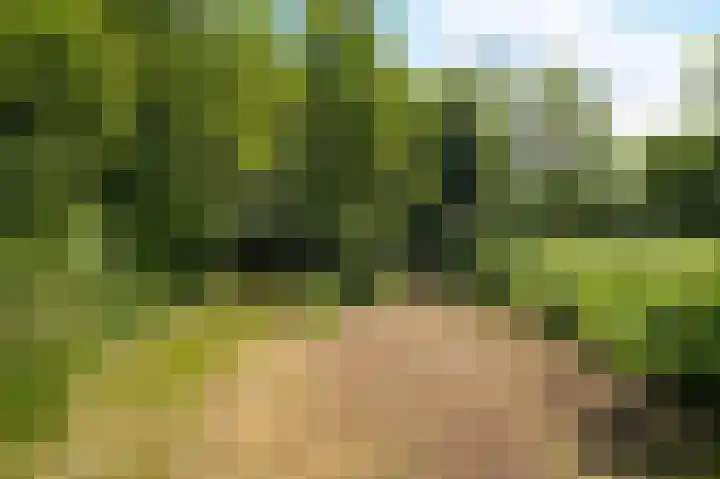 Krommesteeg 2 Odijk thumbnail 29