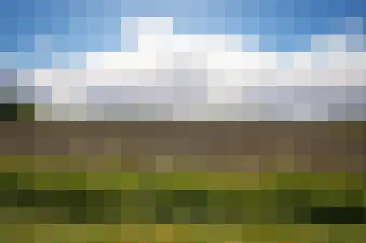Krommesteeg 2 Odijk thumbnail 30