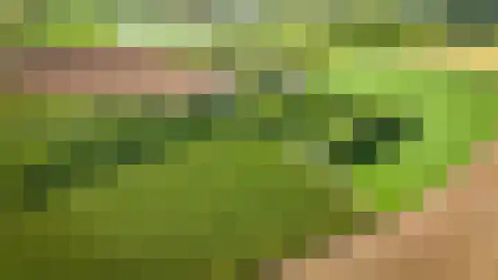 Krommesteeg 2 Odijk thumbnail 32