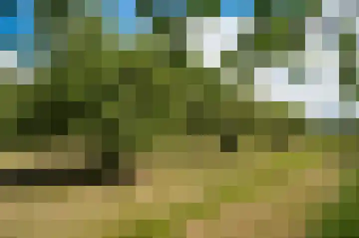 Krommesteeg 2 Odijk thumbnail 4