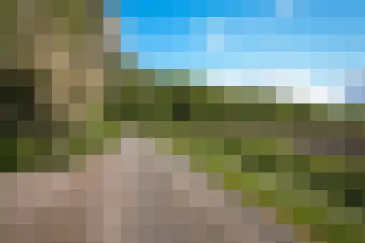 Krommesteeg 2 Odijk thumbnail 5