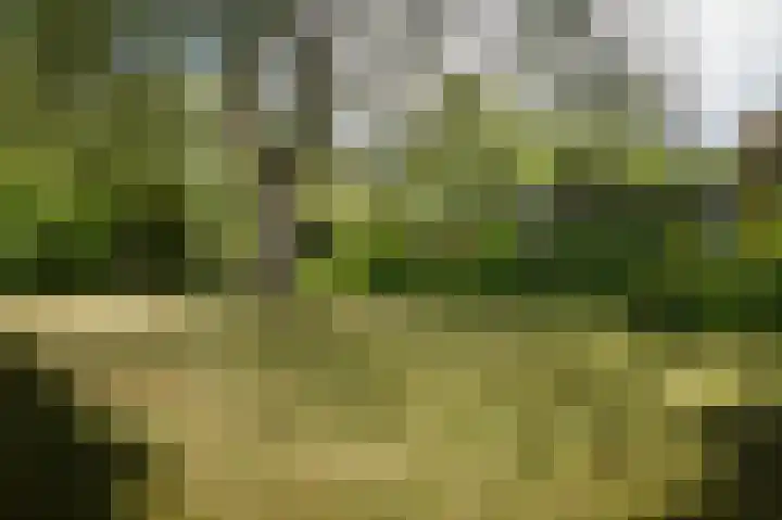 Krommesteeg 2 Odijk thumbnail 6