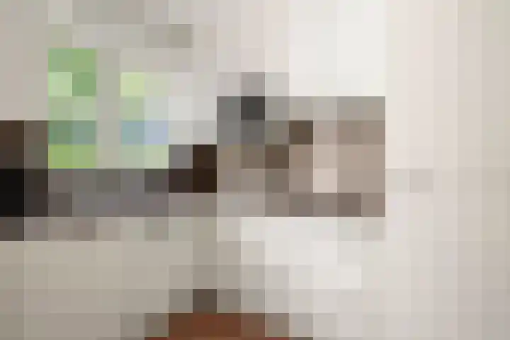 Krommesteeg 5 B Ede thumbnail 16