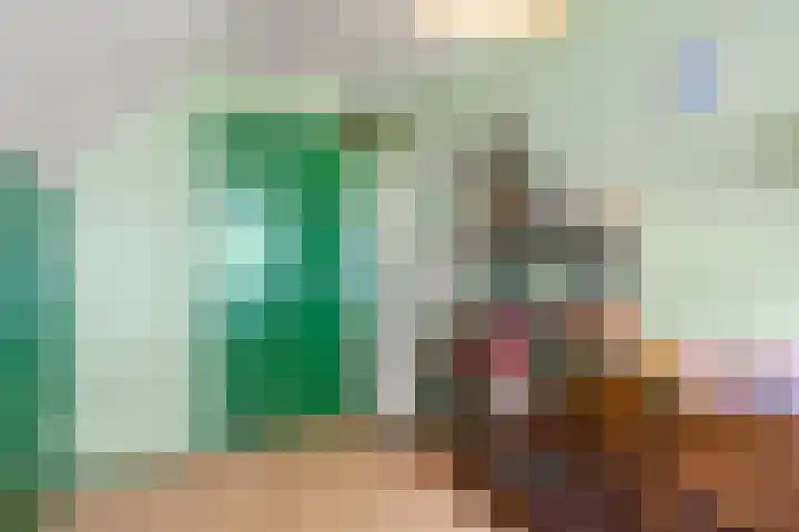 Krommesteeg 5 B Ede thumbnail 33