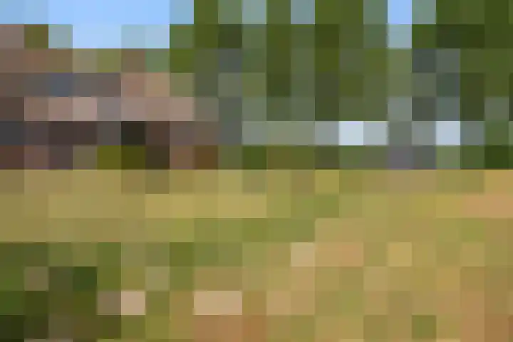 Krommesteeg 5 B Ede thumbnail 44