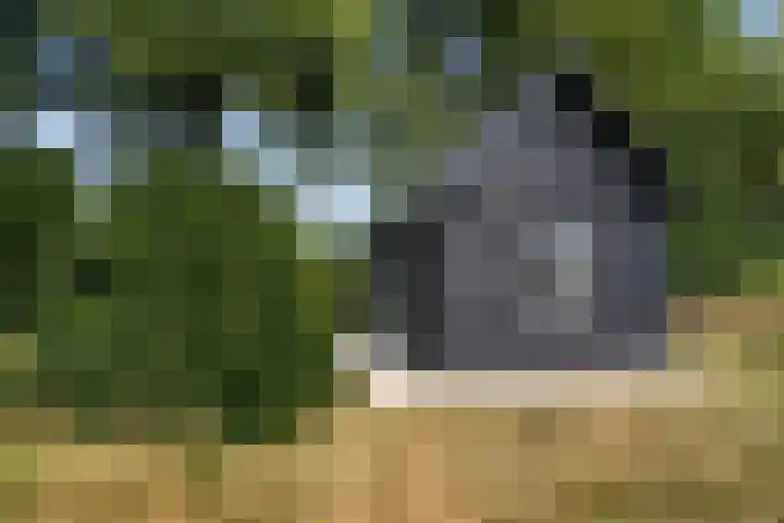 Krommesteeg 5 B Ede thumbnail 47