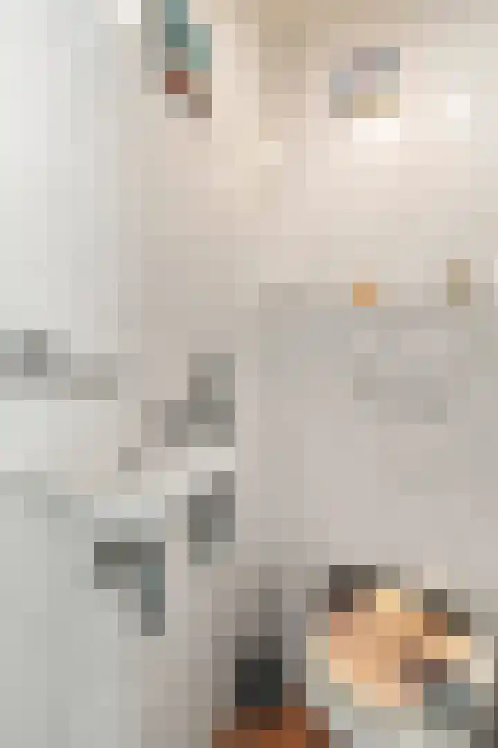 Krommesteeg 5 B Ede thumbnail 8