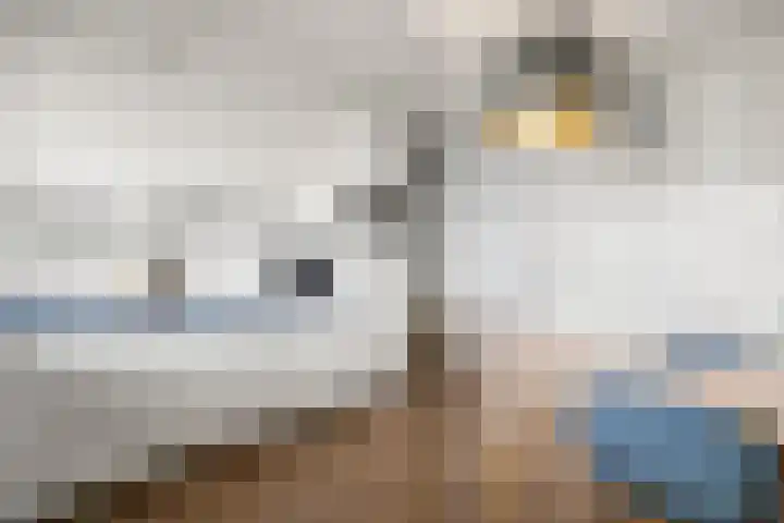 Krommesteeg 5 B Ede thumbnail 9