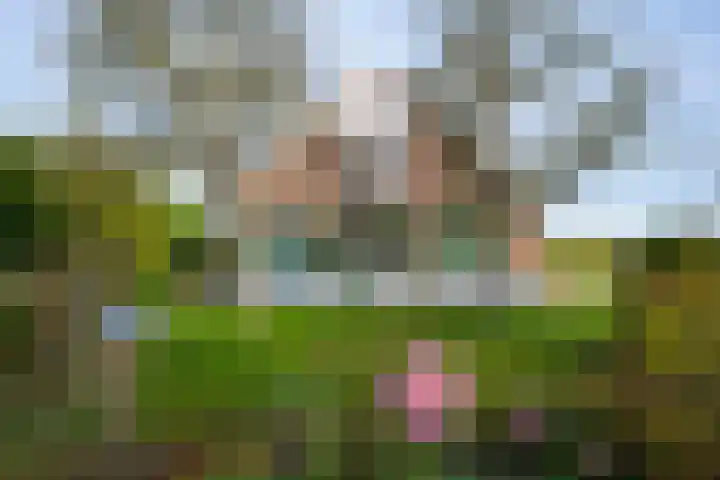 Krommestraat 4 Westendorp thumbnail 39