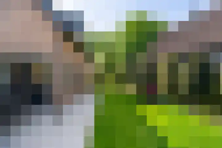 Krommevaert 2 Kaatsheuvel thumbnail 7
