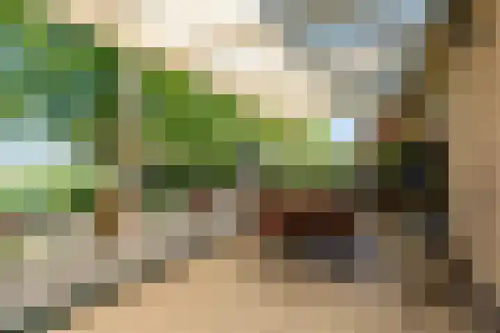 Krompad 1 D Echtenerbrug thumbnail 27
