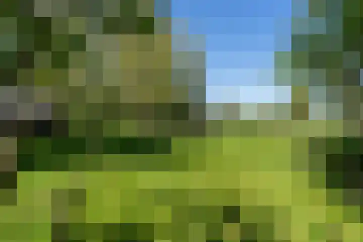 Krompad 1 D Echtenerbrug thumbnail 29