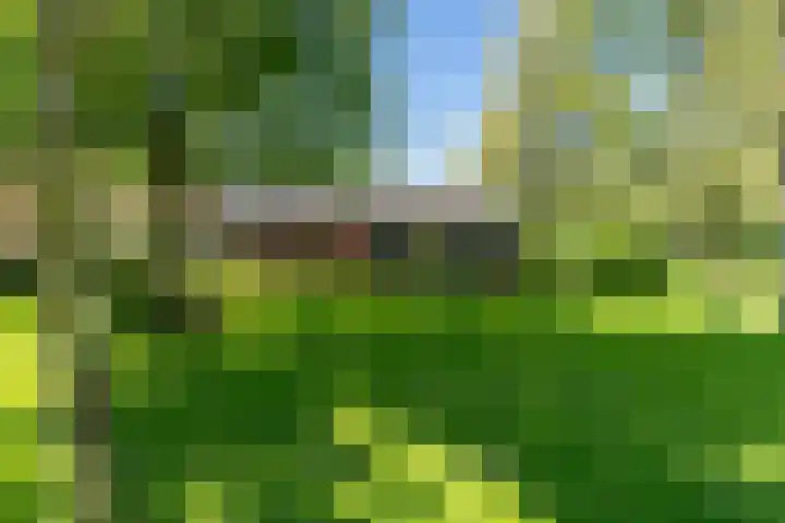 Krompad 1 D Echtenerbrug thumbnail 30