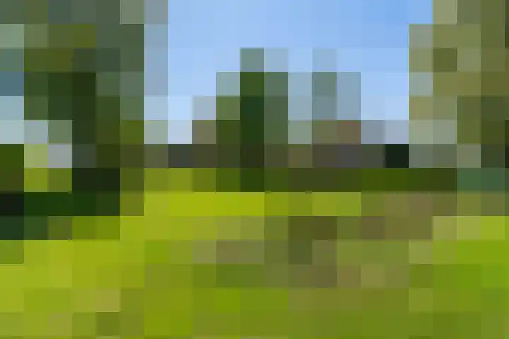 Krompad 1 D Echtenerbrug thumbnail 31