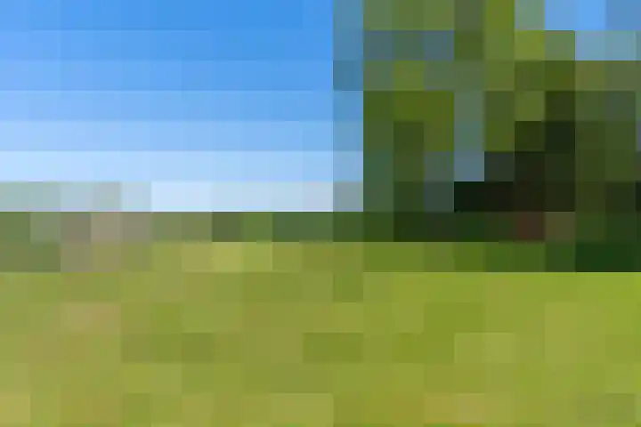 Krompad 1 D Echtenerbrug thumbnail 32