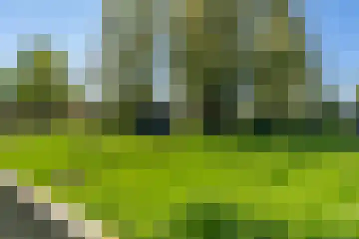 Krompad 1 D Echtenerbrug thumbnail 33