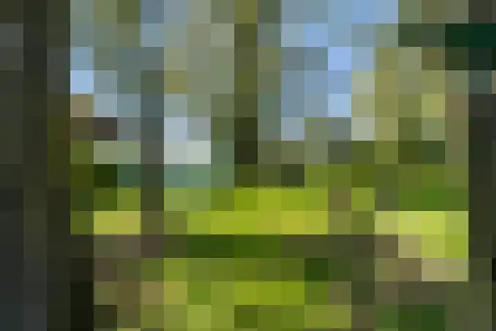 Krompad 1 D Echtenerbrug thumbnail 34