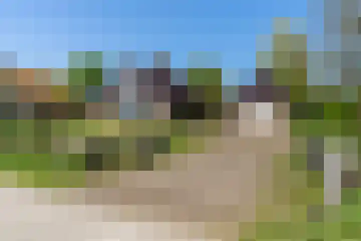 Krompad 1 D Echtenerbrug thumbnail 39