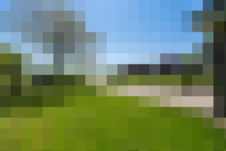 Krompad 1 D Echtenerbrug thumbnail 41