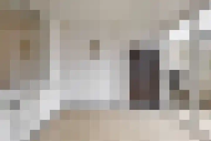Krompbunderstraat 7 Stein thumbnail 11
