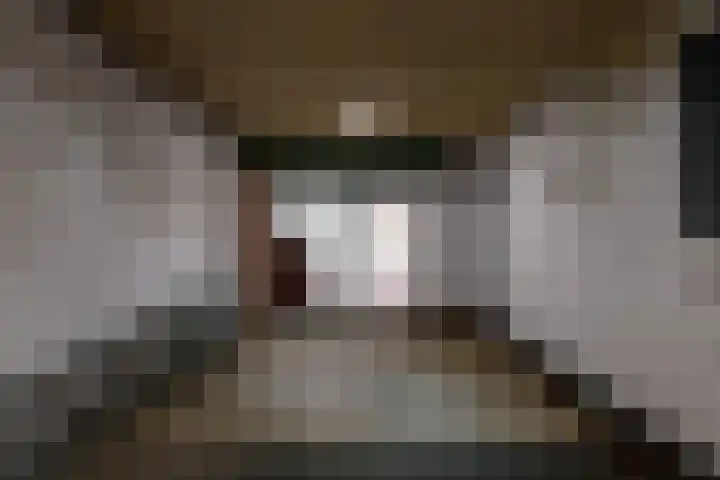 Krompbunderstraat 7 Stein thumbnail 13