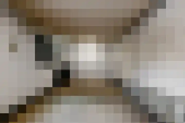 Krompbunderstraat 7 Stein thumbnail 15