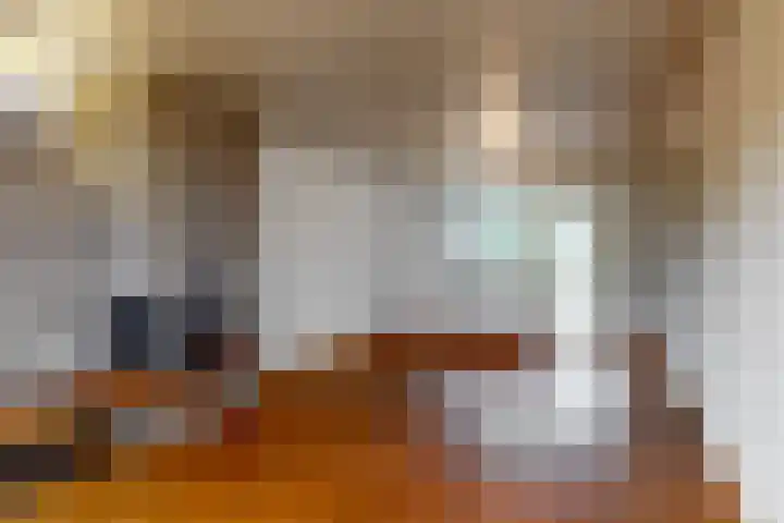 Krompbunderstraat 7 Stein thumbnail 6