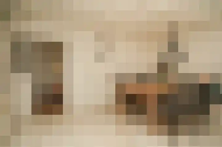 Kromsteeg 86 Kerkdriel thumbnail 15