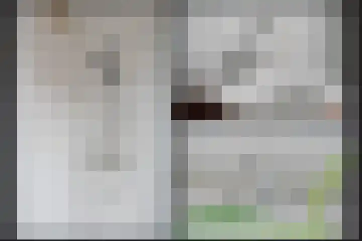 Kromsteeg 86 Kerkdriel thumbnail 23