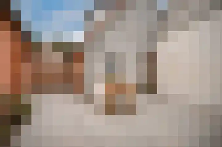 Kromsteeg 86 Kerkdriel thumbnail 35