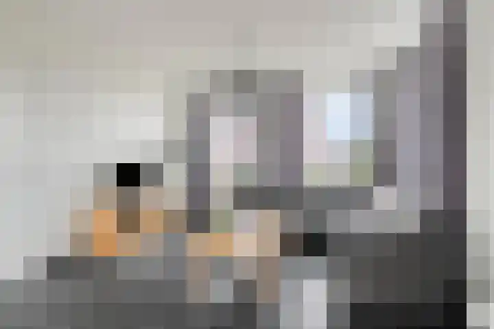 Kromsteven 3 Sint-Annaland thumbnail 12