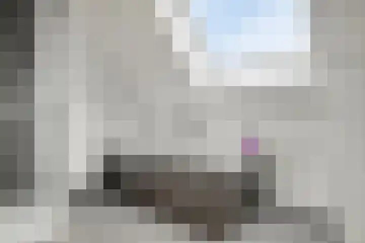 Kromsteven 3 Sint-Annaland thumbnail 40