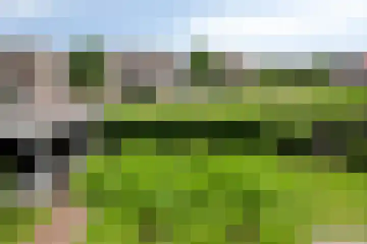 Kromsteven 3 Sint-Annaland thumbnail 43