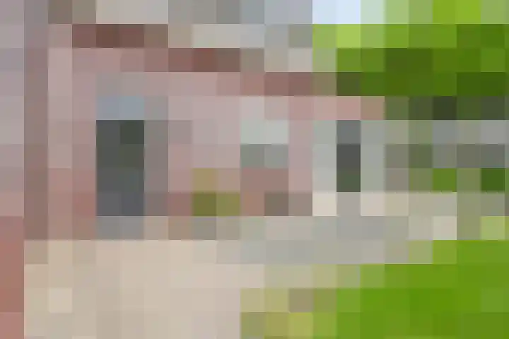 Kromsteven 3 Sint-Annaland thumbnail 46