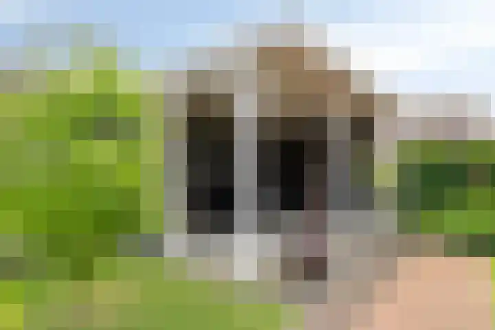 Kromsteven 3 Sint-Annaland thumbnail 47