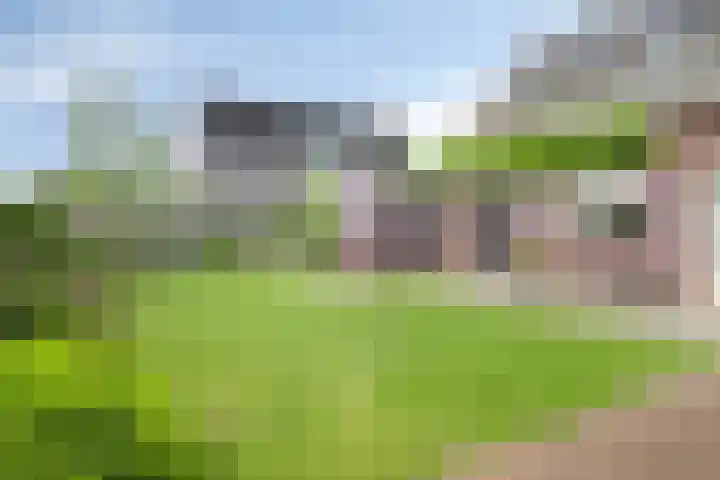 Kromsteven 3 Sint-Annaland thumbnail 50