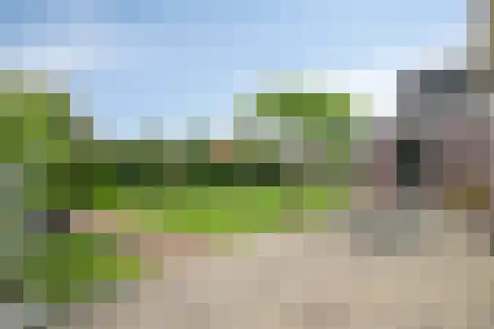 Kromsteven 3 Sint-Annaland thumbnail 51