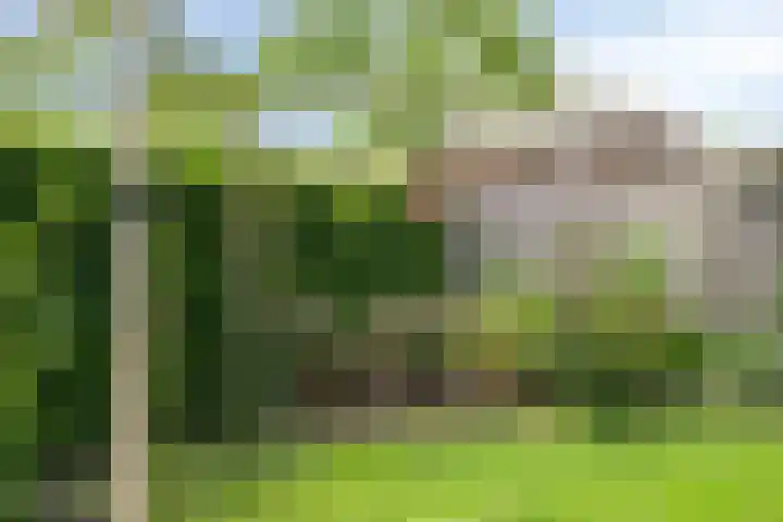 Kromsteven 3 Sint-Annaland thumbnail 52