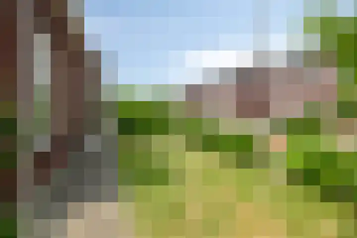 Kromsteven 3 Sint-Annaland thumbnail 60