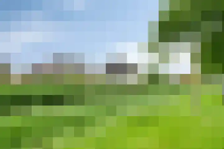 Kromsteven 3 Sint-Annaland thumbnail 66